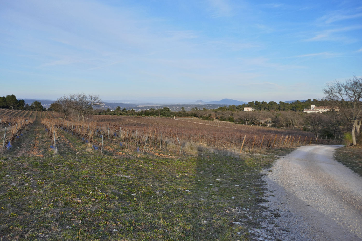 Château Galoupet